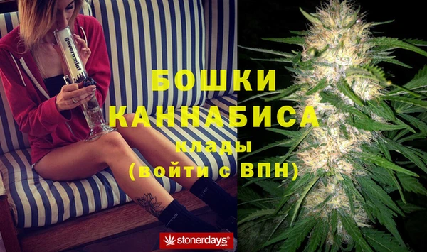 mdpv Белокуриха