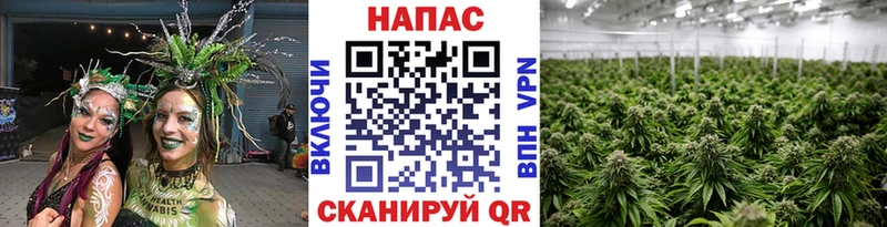 МАРИХУАНА THC 21%  kraken рабочий сайт  Кукмор 